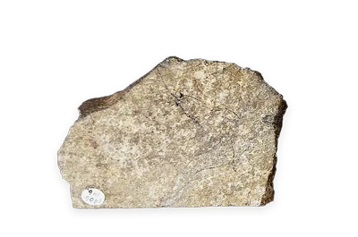 Okirai-Kesen meteorite